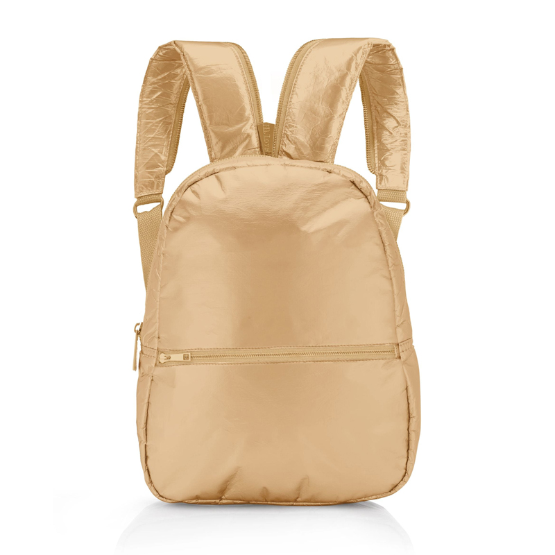 Everyday carry backpack